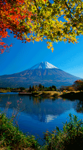 富士山１１