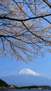 富士山１２
