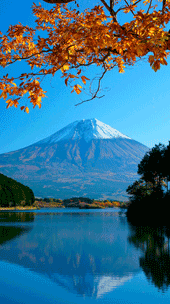 富士山１５